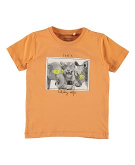 Camiseta animales Gallode Name It